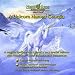 Hemi-Sync Binaural Beat Brainwave Technology CD: A Unicorn Named Georgia