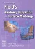 Field's anatomy, palpation and surface markings