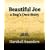 Beautiful Joe a Dog's Own Story (1893)