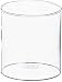 Coleman Clear Lantern Globe214 285 28
