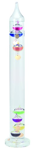 Chaney Instrument 17-Inches Galileo Thermometer