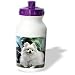pomeranian12  - Dogs Pomeranian Pomeranian Water Bottles