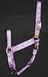 Hamilton Deluxe 1" Nylon Horse Halter with Adjustable Chin and Snap, Lavender, Average (800-1100 lbs)