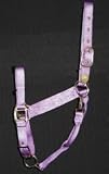 Hamilton Deluxe 1 Nylon Horse Halter with Adjustable Chin and Throat Snap, Lavender, Average (800-1100 lbs)