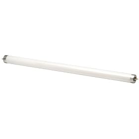 MyStudio® 5000K 15W Daylight Fluorescent Replacement Bulb