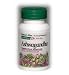 Ashwagandha Extract 450mg - 60 - Capsule