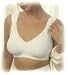  : Seamless Softcup Nursing Bra