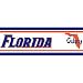 University of Florida Gators - Wallpaper Border