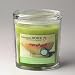 Colonial at Home Candles Cucumber Melon 22oz
