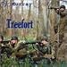 Treefort