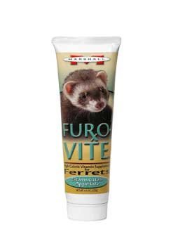 ferret care