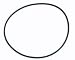 Replacement O-Ring for PB460 Polaris Booster Pump