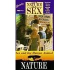 Nature of Sex: Sex & Human Animal [VHS]