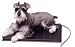 MEDIUM Lectro-Kennel Heated Pad, Size 16.5 X 22.5 Inches, Black