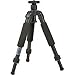 Giottos GB Series Black Pro Classic 2 Section Tripod Legs, 23" Max Height, with Case