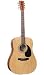 Dreadnought Guitar from J. Reynolds