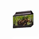 Tetra 10gal Inc Economy Starter Kit (Catalog Category: Aquarium / Aquarium Kits) 21DYmD9bZJL. SL160 Tetra 10gal Inc Economy Starter Kit (Catalog Category: Aquarium / Aquarium Kits)