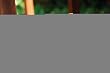 Watering Can, Ladybug collection, 2 Assorted: