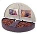 Kitchen & Housewares : Lentek Koolatron PD05G Pet Dish Weekender Feeder Gift Box