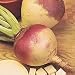 Swede Angela Seeds (1 Pkt - 1200 seeds)