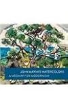 John Marin's watercolors : a medium for modernism