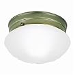 Westinghouse Light A 66604 Ceiling Fixture