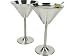 RSVP International Endurance Stainless Steel Martini Glasses Set of 2