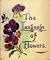 The Language of Flowers