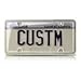 Custom Accessories 92520 License Plate Protector
