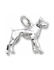 Boxer Dog Charm