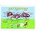 Ant Anatomy Displays Image
