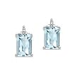 10kt. White Gold Aquamarine Earrings with Diamond Accents