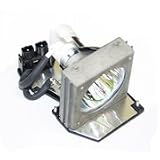 Replacement Projector Lamp BL-FP200C SP.85S01G001