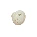 Interpower 88030040 NEMA Locking 6-30 Flanged Outlet, White, 30A Rating, 250VAC Voltage