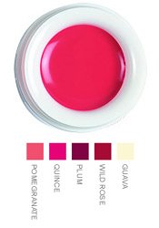 Korres Lip Butter - 6 g (Available Shades: Pomegranate, Quince, Plum, Wild Rose or Guava)