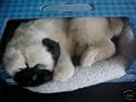 BREATHING/SLEEPING PET NAP DOG PUG ?