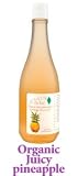 100 Percent Pure Organic Juicy Pineapple Foaming Shower Gel (16 oz.)
