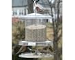 All Weather Feeder Clear 6 Quart Feeder