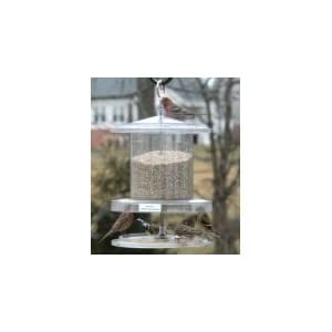 Songbird Essentials All Weather Feeder 6 Qt. Clear by
