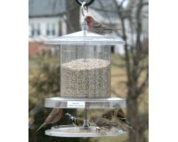 All Weather Feeder Clear 6 Quart Feeder