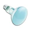 GE 20996 - 65R30/PL-1 - 65 Watt BR30 Plant Light Bulb