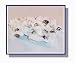 Black Licorice Salt Water Taffy