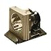 Confronta prezzi Optoma  LP-EP739 projection lamp