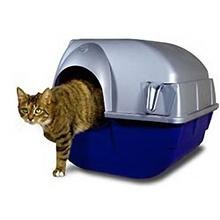 Self Cleaning Litter Box Regular