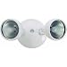 Cooper Lighting MX1W 200W Twin Floodlight Fixture