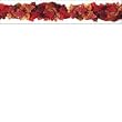 AUTUMN LEAVES PHOTO BORDER