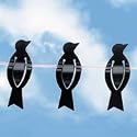 50 Bird Clothes Pegs - BEST SELLER