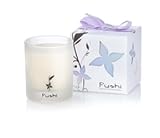 Bringer of Peace Candle Bringer of Peace Candle