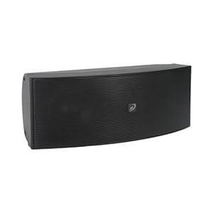 Center Channel Speaker