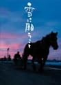 雪に願うこと プレミアム･エディション [DVD]